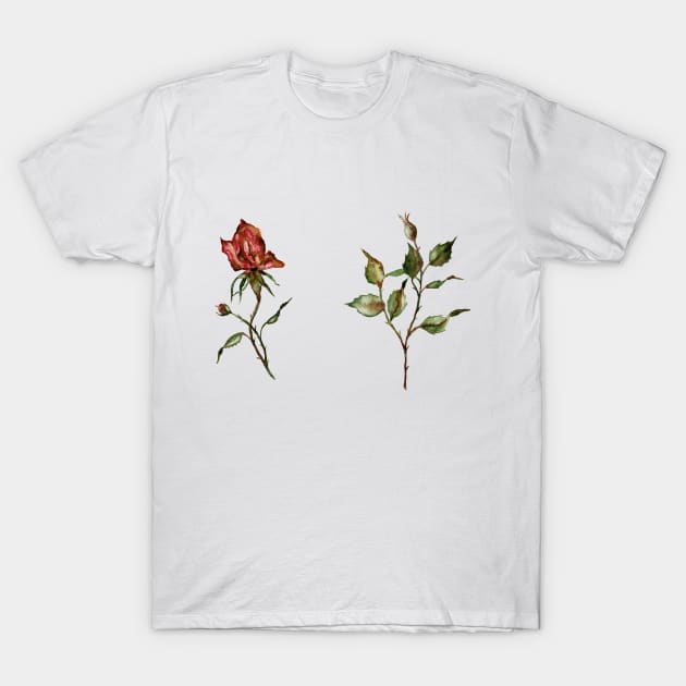 Loose Rose Buds T-Shirt by ShealeenLouise